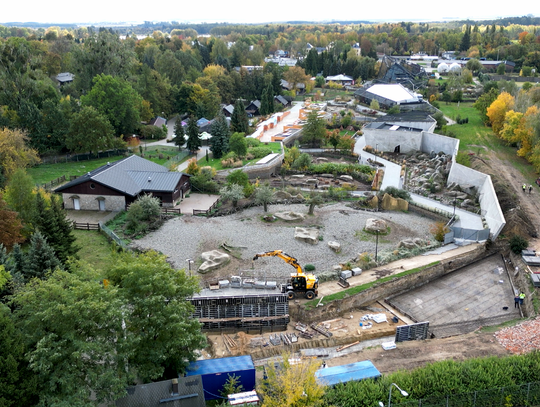 Będą pingwiny w Zamościu