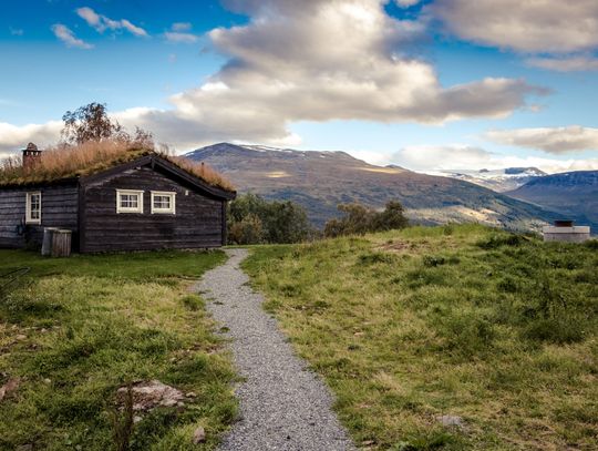 Budowa i zalety ekologicznych domów z drewna