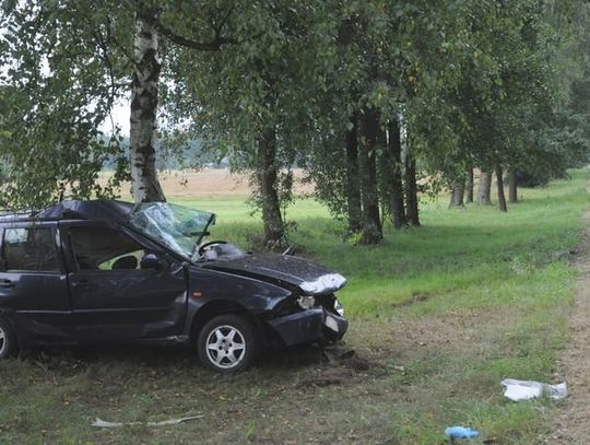 CHEŁM: UCIEKAJĄC Z MIEJSCA KOLIZJI WJECHAŁ W DRZEWO. MIAŁ 2,5 PROMILA ALKOHOLU W ORGANIZMIE