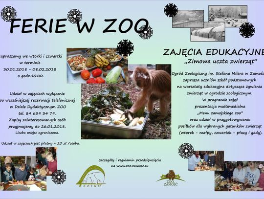 Ferie w ZOO - zimowa uczta zwierząt - warsztaty edukacyjne dla dzieci