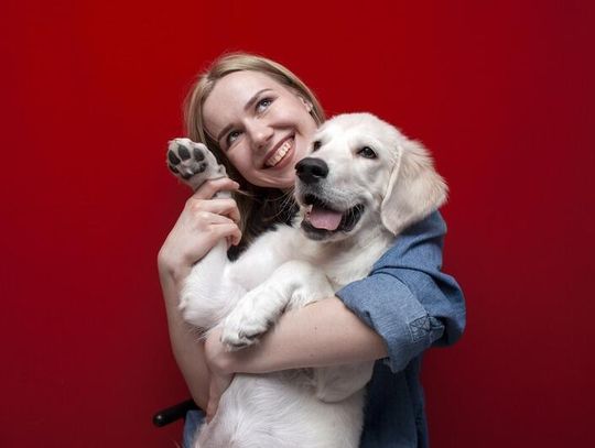 Hotel dla psów Lublin. Jak wybrać najlepsze miejsce dla swojego pupila