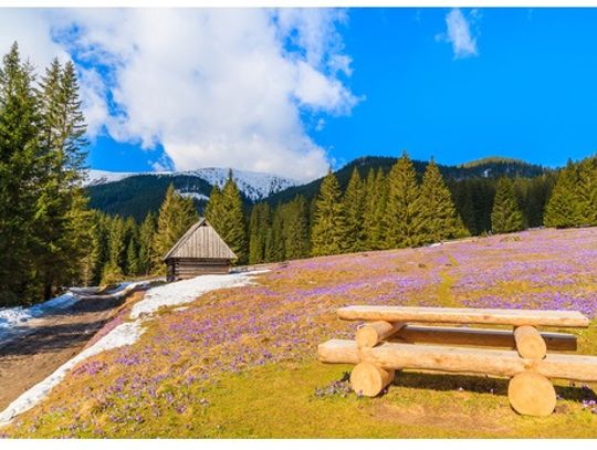  Jak spędzić wieczór panieński w górach? 