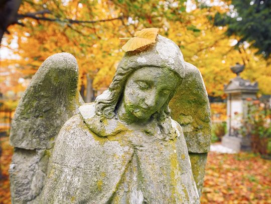 Jak wyczyścić nagrobek?