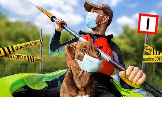 Kamizelka dla psa do pływania - gdzie ją kupić?