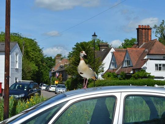 Kredyt na auto lub mieszkanie 