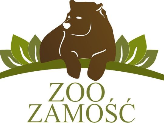 Nowa antylopa zamieszkała w zamojskim zoo