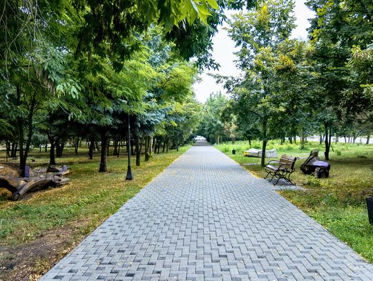 Oaza zieleni w nowoczesnym otoczeniu