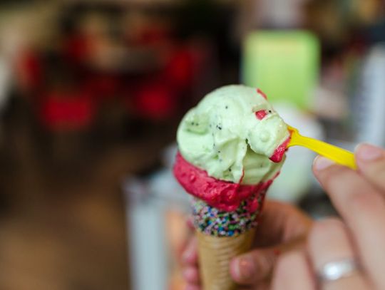 Przewodnik po lodowym świecie