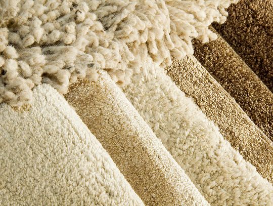 Specjalistyczne pranie kanap oraz czyszczenie wykładzin na błysk