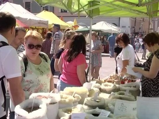 [VIDEO] Trzecia edycja Festiwalu polskiej żywności wolnej od GMO. Bezpośrednio od rolnika