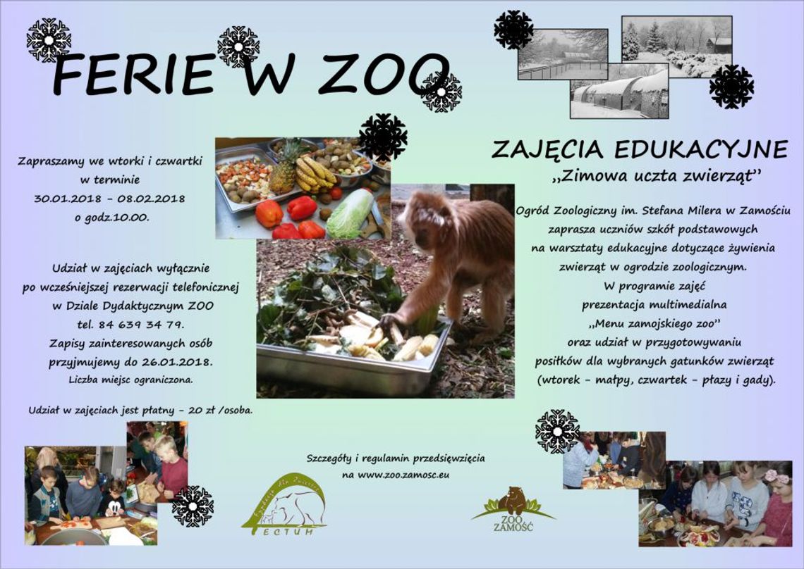 Ferie w ZOO - zimowa uczta zwierząt - warsztaty edukacyjne dla dzieci