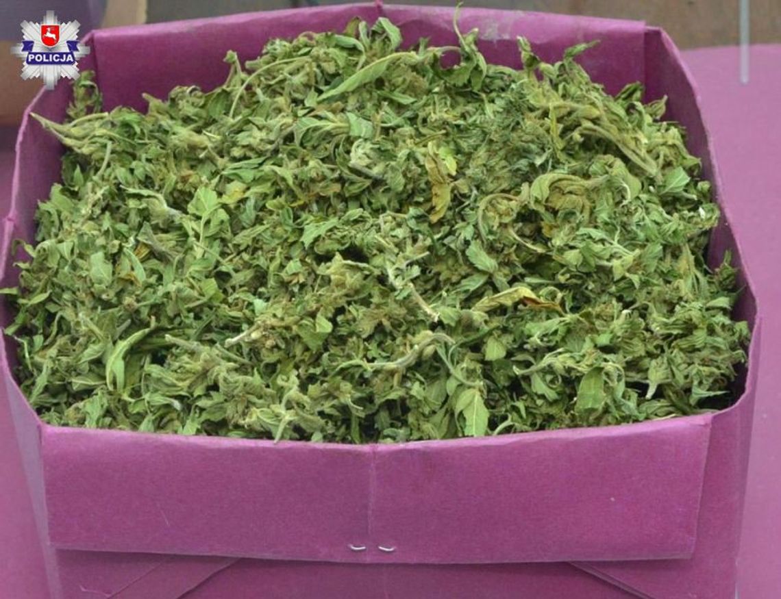 Gm. Skierbieszów: Ponad 850 gram suszu marihuany ukrył w tekturowych pudełkach