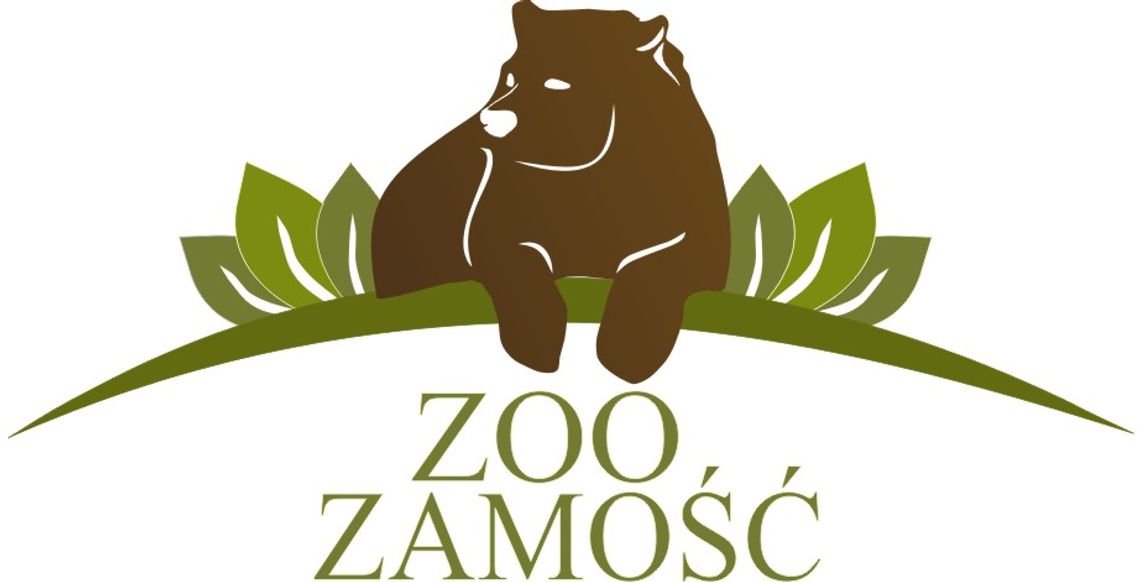Nowa antylopa zamieszkała w zamojskim zoo