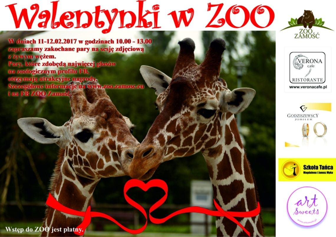 WALENTYNKI W ZOO